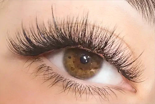Hybrid Lashes